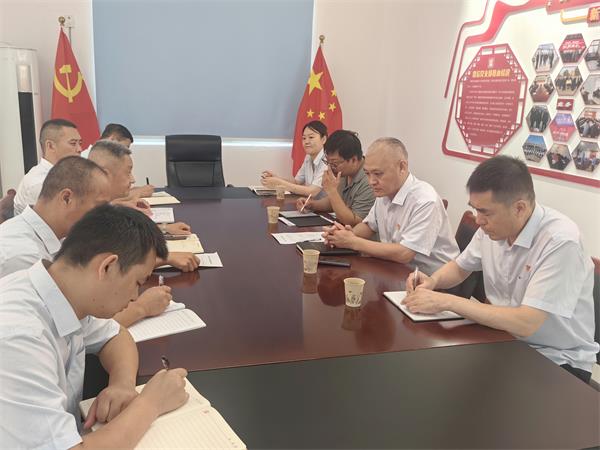 公司領(lǐng)導(dǎo)調(diào)研指導(dǎo)鼎信公司、藍(lán)盾...